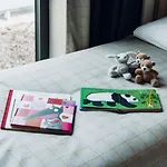 Hotel Ibis Styles Centre Gare 3*