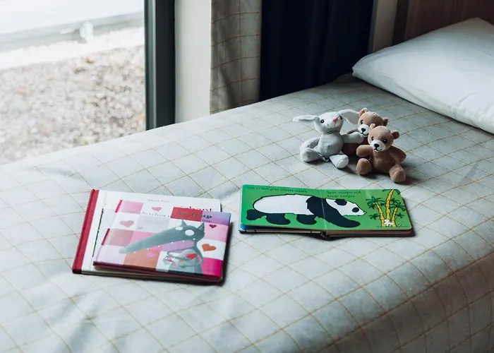 酒店 Ibis Styles Centre Gare 3*